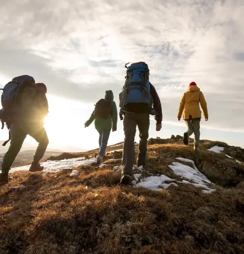 Group of four hikers with backpacks walks in mountains at sunset